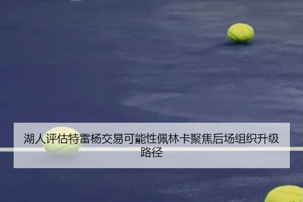 湖人评估特雷杨交易可能性佩林卡聚焦后场组织升级路径